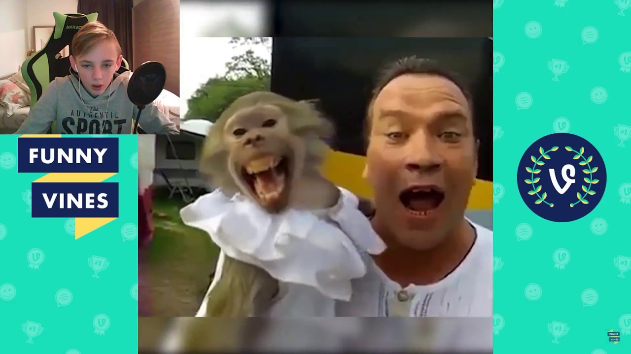 TRY NOT TO LAUGH CHALLENGE...... en gekke aap - YouTube