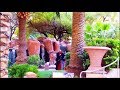 Flamingo Vegas: Habitat & Wedding Chapel - YouTube