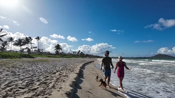 Kalama Beach 🏖️ A 4K Journey Through Paradise