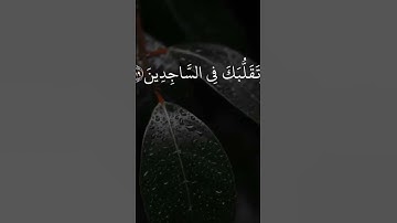 سورة البقرة الشيخ وديع اليمني