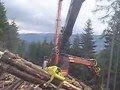 Лесной кран Loglift 115 z в работе