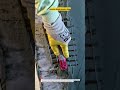 Removing Dried Plaster Drips — Pro Wall Cleanup That’s So Satisfying!