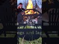 #campinglife