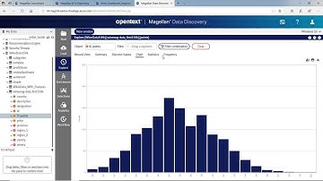 Technology Challenge: Unlocking Unstructured Wine Reviews using OpenText Magellan