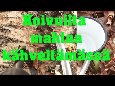 Video: Silikoniletku: hyödyt käytössä