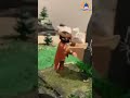 🦴🍖UN DIORAMA SE LA PREHISTORIA DE ÁNGEL ARES Y NOEMÍ DE LUGO, ESPECTACULAR