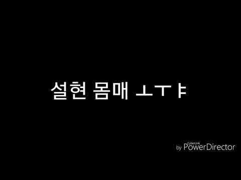 설현 몸매 ㄷㄷ 물에 빠진 신수지 ㅗㅜㅑ 다비친다 Feat 섹시버전 아이유 판다 레슬링 