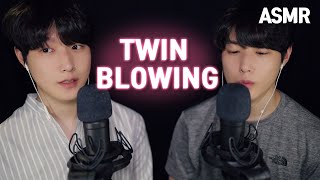 쌍둥이ASMR 귀에 바람불기 이어블로잉 | Twin Ear Blowing