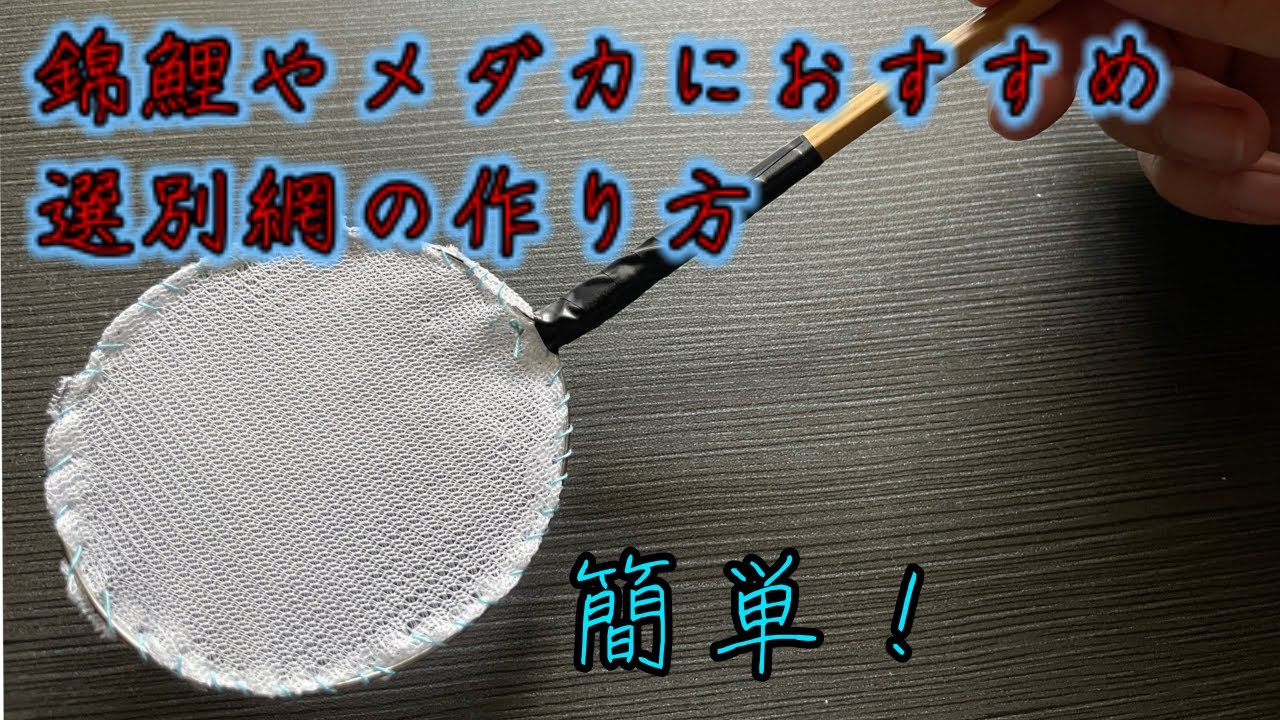 錦鯉やメダカに 簡単な選別網の作り方 Youtube