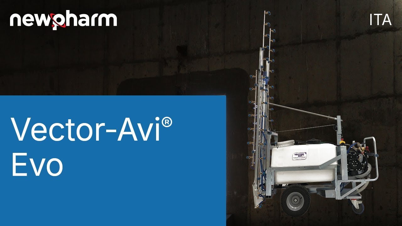 VECTOR-AVI® EVO (Italian)