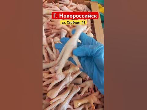 Лапки домашней курицы - YouTube