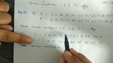 Maths Class 6th Factors and multiples EXERCISE 4.3