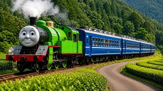 Percy Returns Through Tea Fields in Japan | Day Out With Thomas 2026