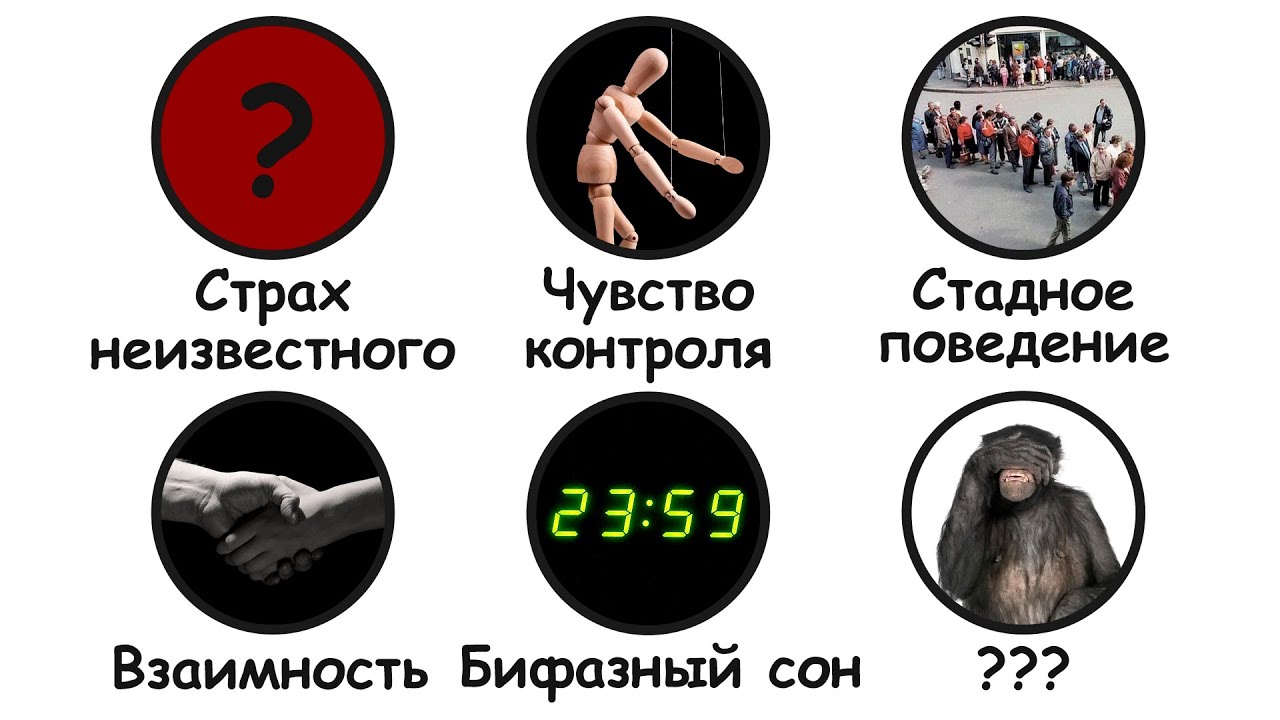 Инстинкты, которые эволюция не удалила, и ты теперь страдаешь