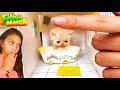 ПОСТРОЙ ДОМ ДЛЯ КОТЁНКА! ИСТОРИЯ БЕЗДОМНОГО КИТТИ! Дом своими руками Kitten Match Валеришка