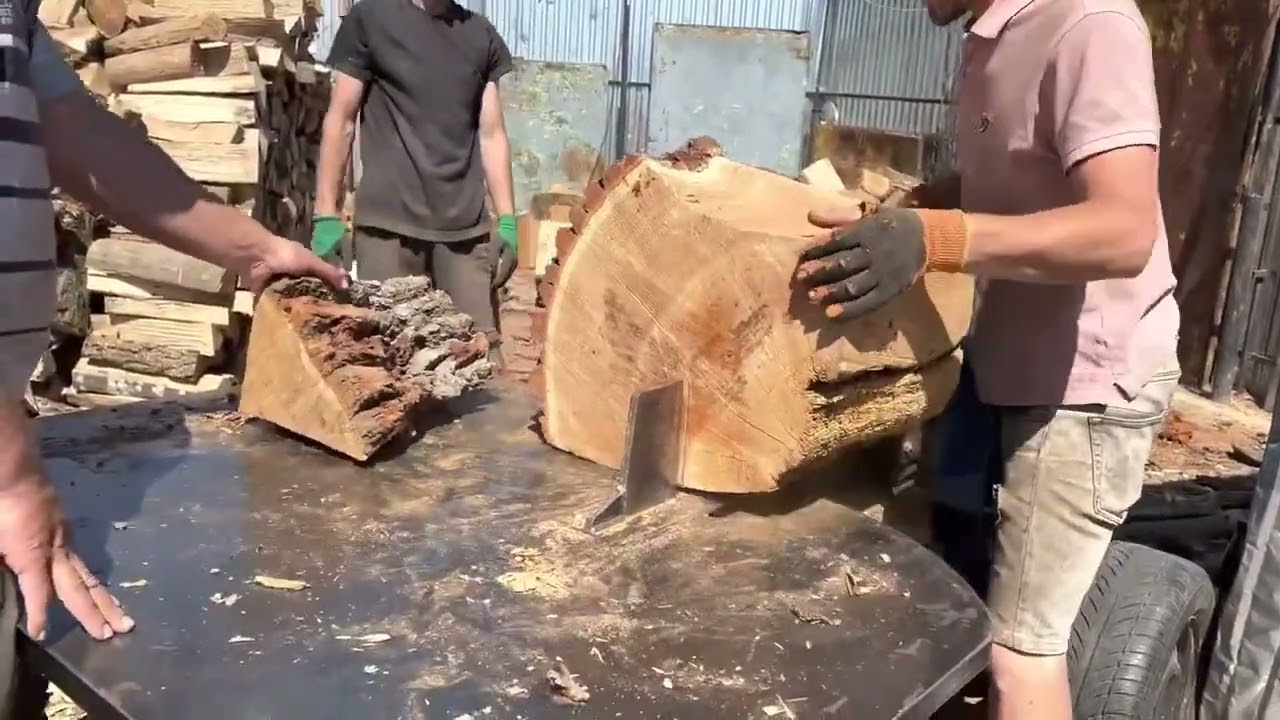 The Biggest Stumps vs Our Splitter