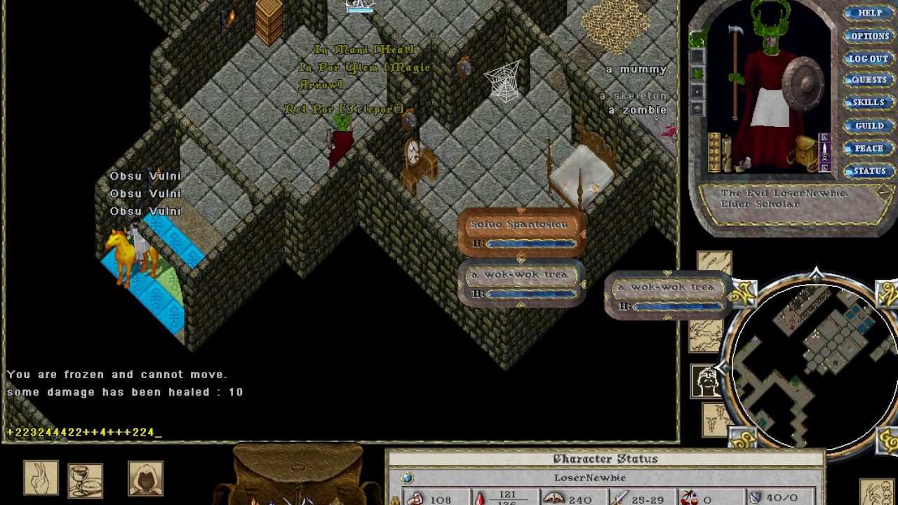 owned tamer Ultima Online YouTube