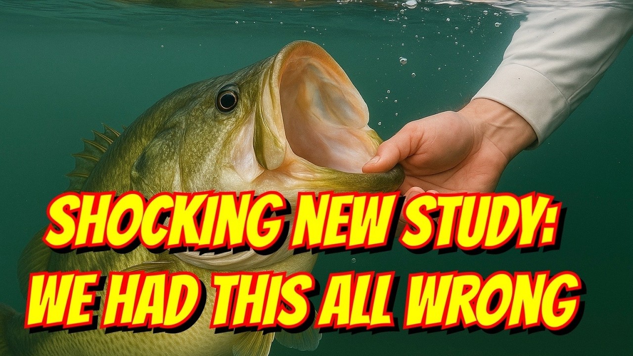 New Research: The Worst Thing You Can Do to Bass in a Livewell