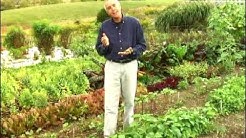 Virginia Farm Bureau - In the Garden - Vegetable Garden Tips