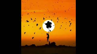 Öykü Gürman-Kül Oldumwhatsapp Üçün Maraqlı Statuslar Instagram Videolarısəssiz Illər