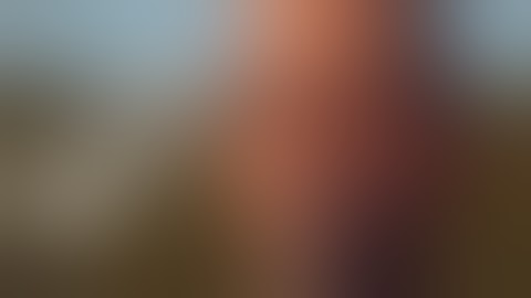 Welcome to the rust community