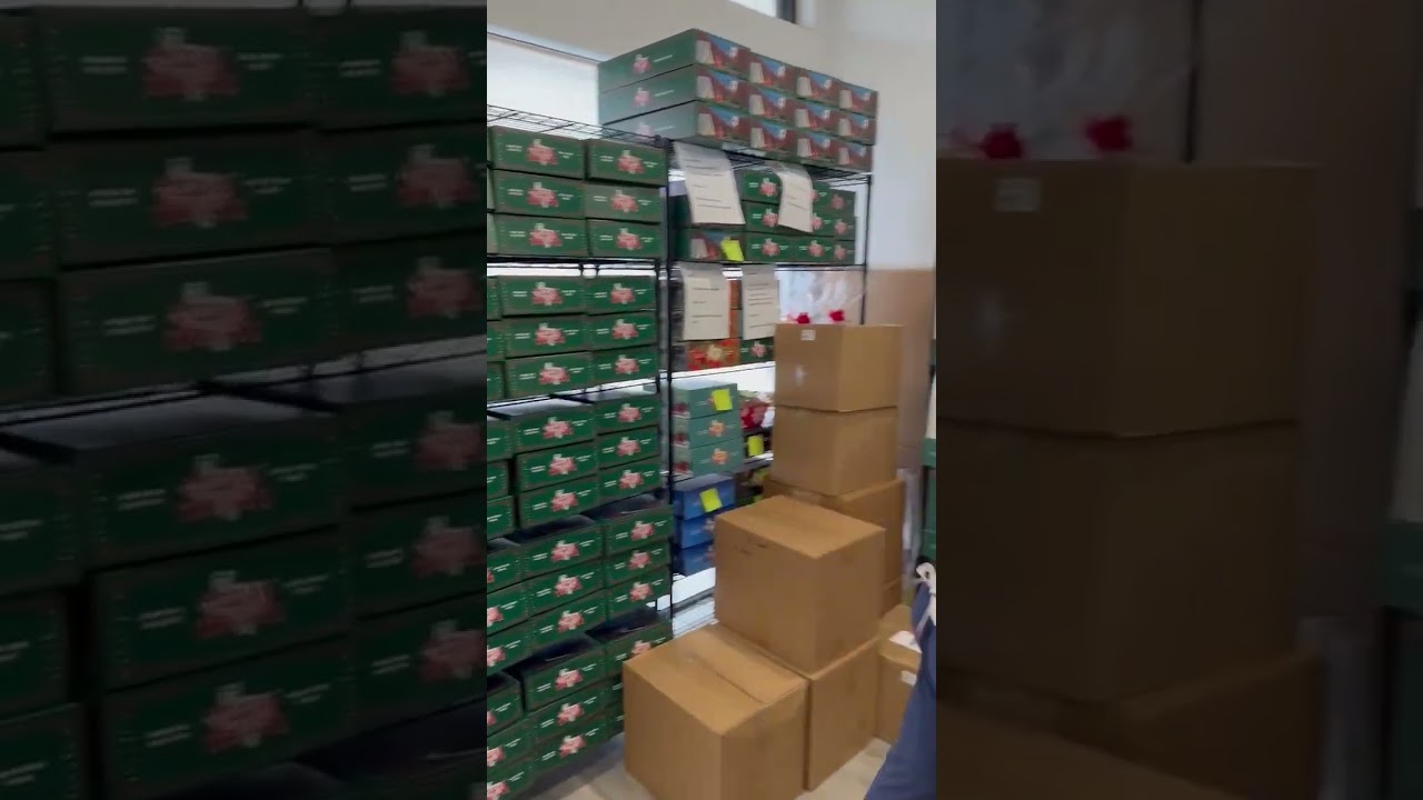 2024 Holiday Pre-Orders at Texas Treats