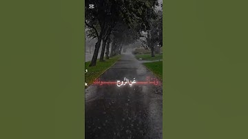 قران كريم بصوت الشيخ ياسر الدوسري #لايك #قران_كريم