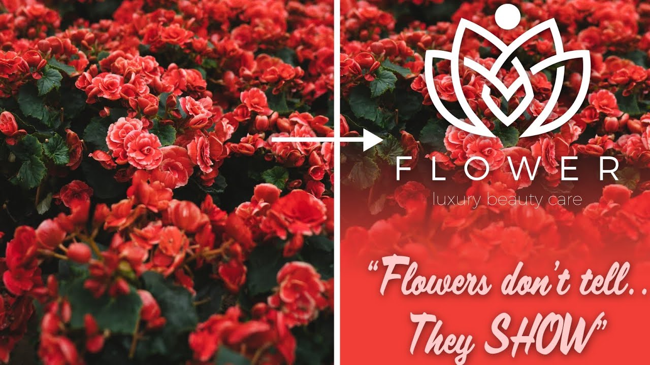 how-to-make-fade-effect-in-illustrator-social-media-post-design-in