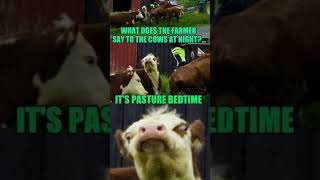 Whdoes The Farmer Say???