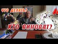 Что делать, Кто виноват?