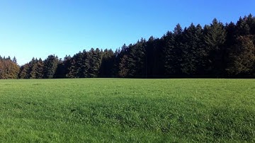 Multiplex FunCub 3D - Funfly OS 18.10.2014