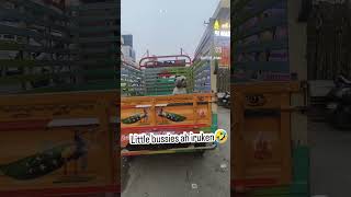 Little Bussies ah iruken🤣🤣#funny #comedy #dogfunnyvideos #chatgpt #trendinfacts