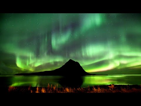 Video: Ticho šteniatok: Fotografické práce Martina Usborna