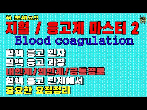 Mandatory blood coagulation process / endogenous / exogenous / common factor