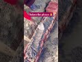 nice work Mistri life #construction #works #house #hardworkworks #shortvideo #trendingshorts #song