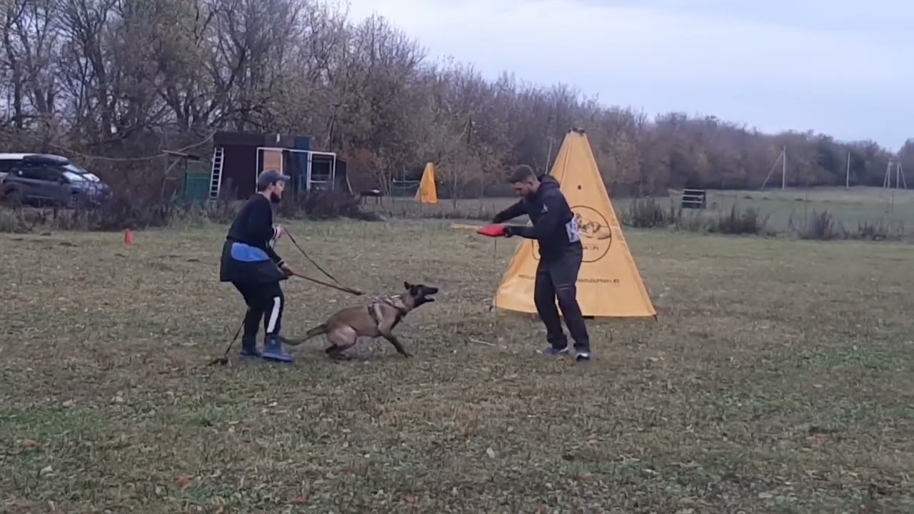 protection training Axiom All Right Hard Rock 7months