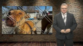 St. Joseph Animal Shelter at capacity