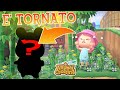 E' TORNATO ! 25/08/2021