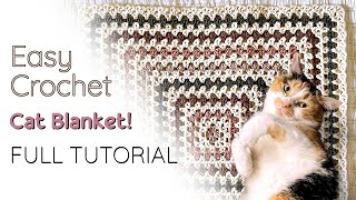 Easy Crochet Cat Blanket - Continuous Granny V Stitch Square Blanket