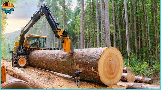 125 Incredible Fastest Big Chainsaw Cutting Tree Machines