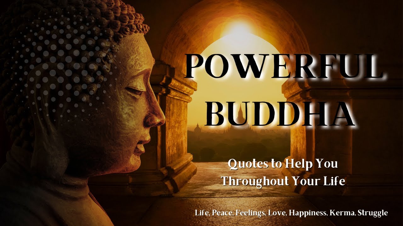 Powerful Buddha Quotes To Help You Life | Freedom, Peace, Feelings, Love,  Happiness, Karma, Struggle - Youtube