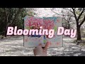🌸 my day as an Artist in Japan - Hanami! thumbnail