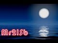 HAWAIIAN MUSIC ~ Moon light paradise