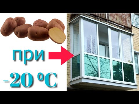 Хранение картофеля в домашних условиях на балконе