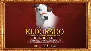 LOTE 204 CGAL 3629