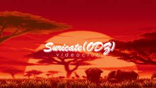 Videoclub - suricate  (slowed + reverb)