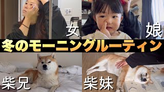 柴犬兄妹 ＆ ２歳の娘 ＆ 歳の差夫婦、冬のモーニングルーティン