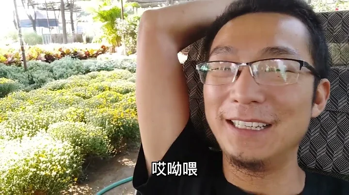 中秋假期花市第一天，好不容易放假了都在家休息呢嘛？ - 天天要聞