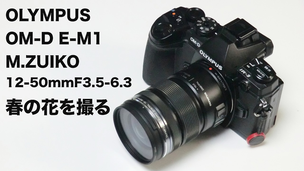 Shot with an OLYMPUS OM-D EM-1 and M.ZUIKO GIGITAL 12-50mm F3.5-6