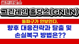 그린레인 홀딩스(GNLN) | 돌파구가 안보인다. 향후 대응전략과 탈출 및 손실복구 방법은??